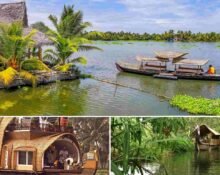Top 5 Boating Destinations in Kerala You Can't Miss
