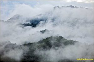 Cloud Forests Ecuador - Dailylifedose