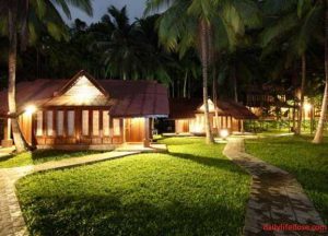 Hotels in Andaman and Nicobar Island - dailylifedose.com