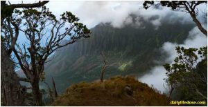 Nature of Kauai & United States - Dailylifedose