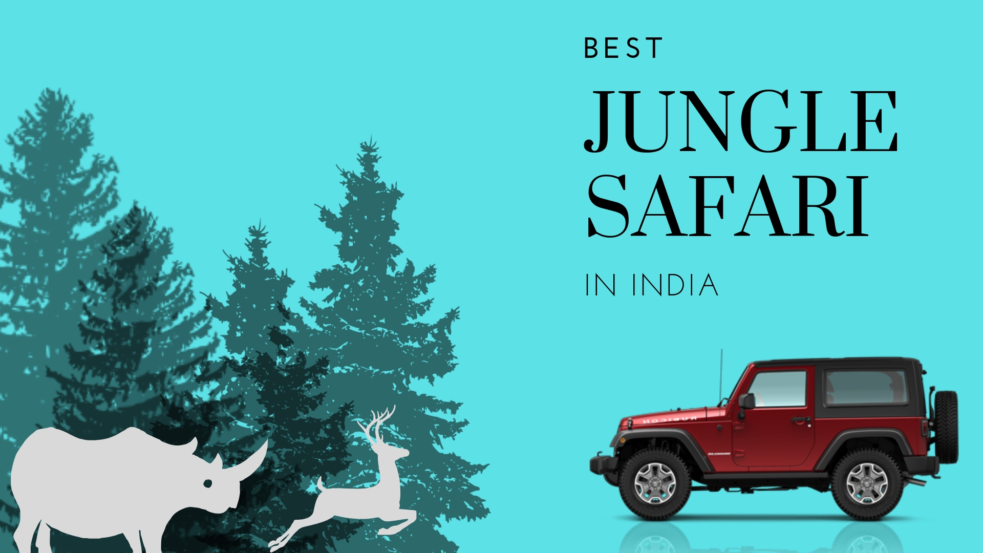 Jungle Safari in India