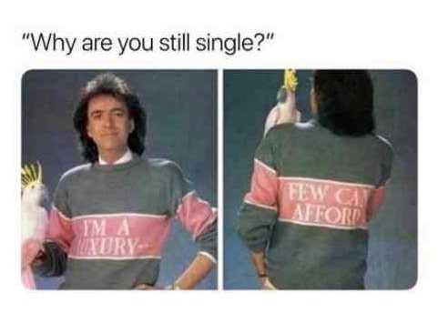 why are you still single meme