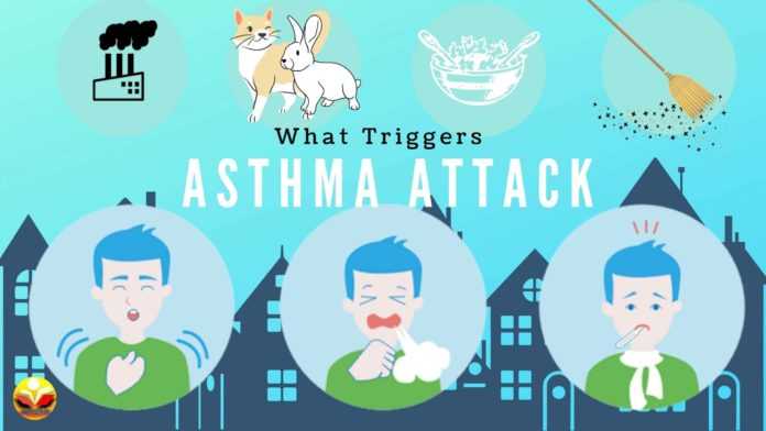 What Triggers Asthma Attack