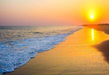 10 Stunning Beach Destinations in India for Solo Travelers