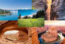 Adventurer’s Delight: The Top 10 Exciting Destinations in the United States